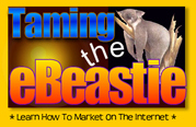 Internet marketing guides